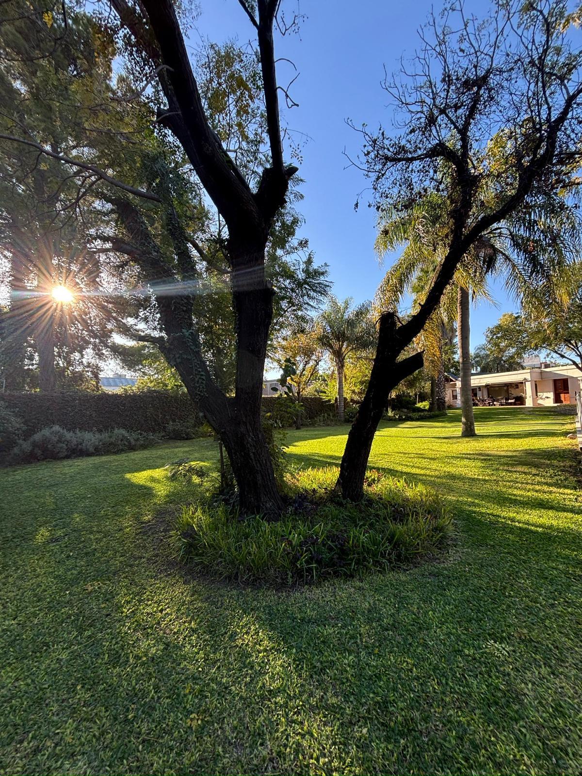 Jardín arbolado