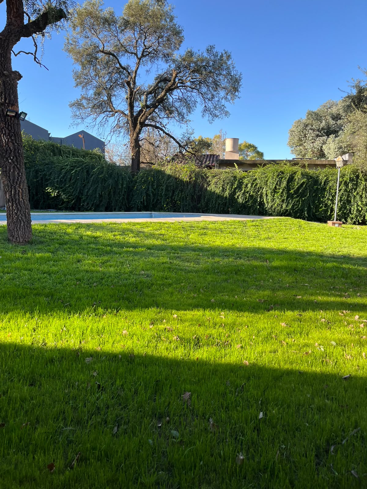 Parque arbolado con pileta al fondo