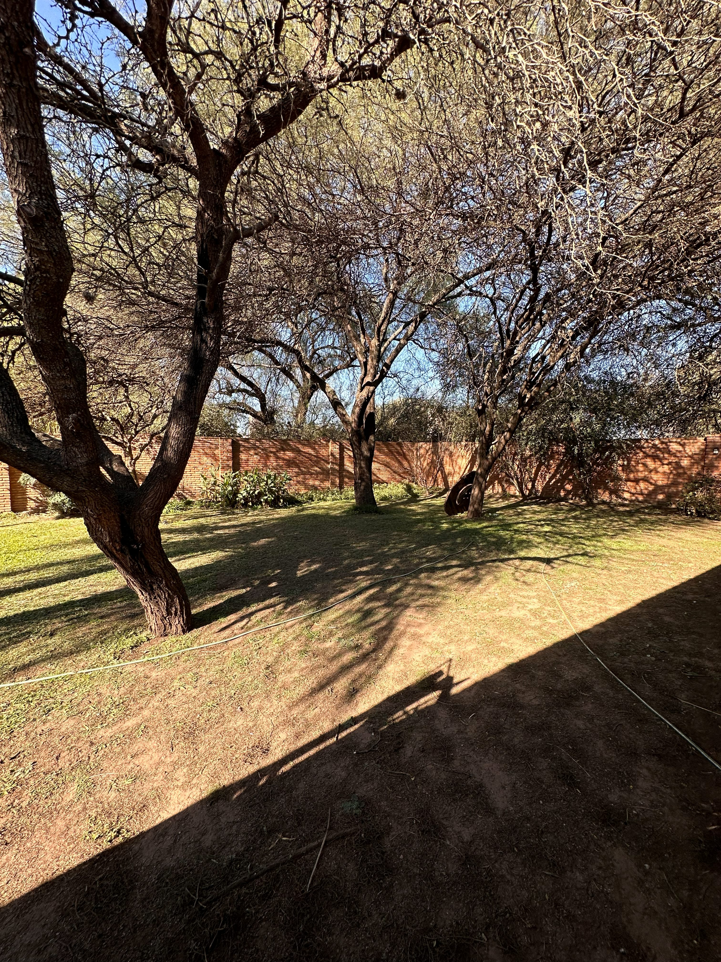 Parque arbolado